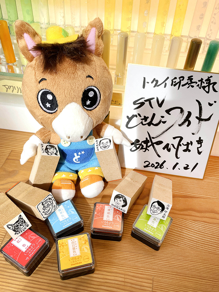 テレビ出演の様子を見る